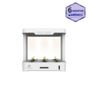 Cherry Home Smart Hydrophonic Plant Box